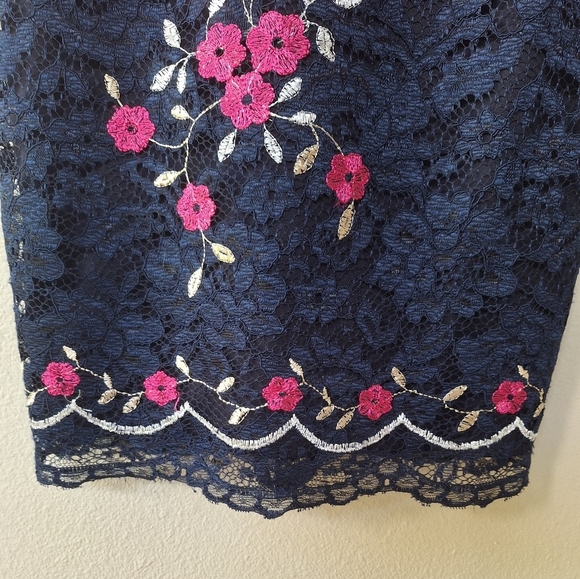 NWT DKNY Womens Embroidered Lace Sleeveless Floral Navy/Pink Dress Size 2 - Picture 4 of 10